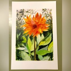 Beautiful, Vibrant Oregon Dahlias Watercolor Print #2